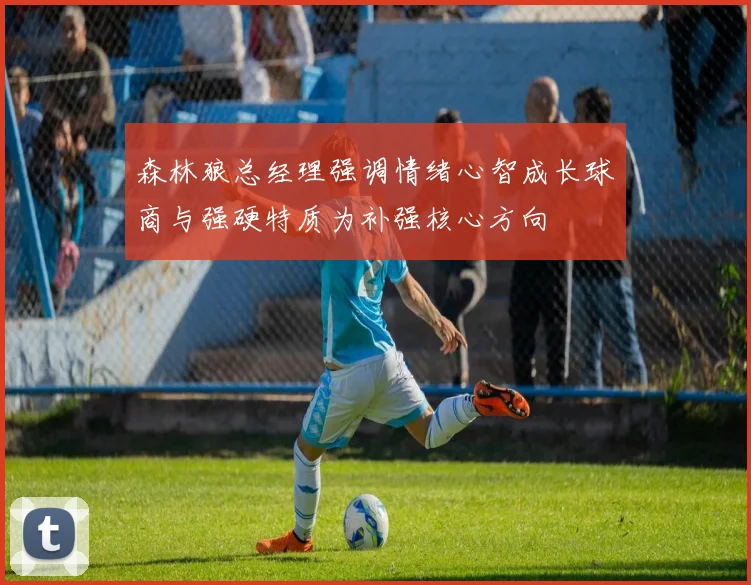 森林狼总经理强调情绪心智成长球商与强硬特质为补强核心方向