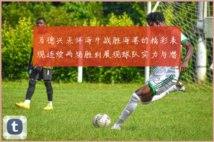 马德兴点评海牛战胜海港的精彩表现连续两场胜利展现球队实力与潜力